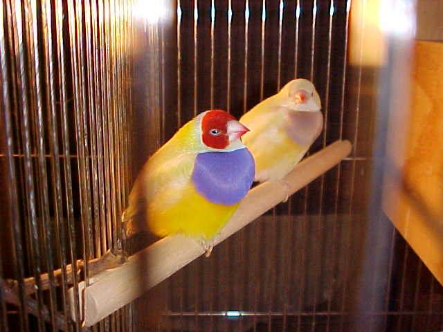 按此在新視窗瀏覽圖片