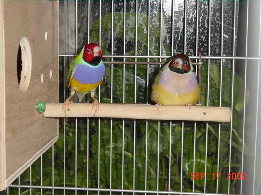 按此在新視窗瀏覽圖片