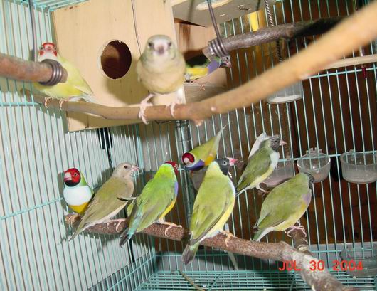 按此在新視窗瀏覽圖片