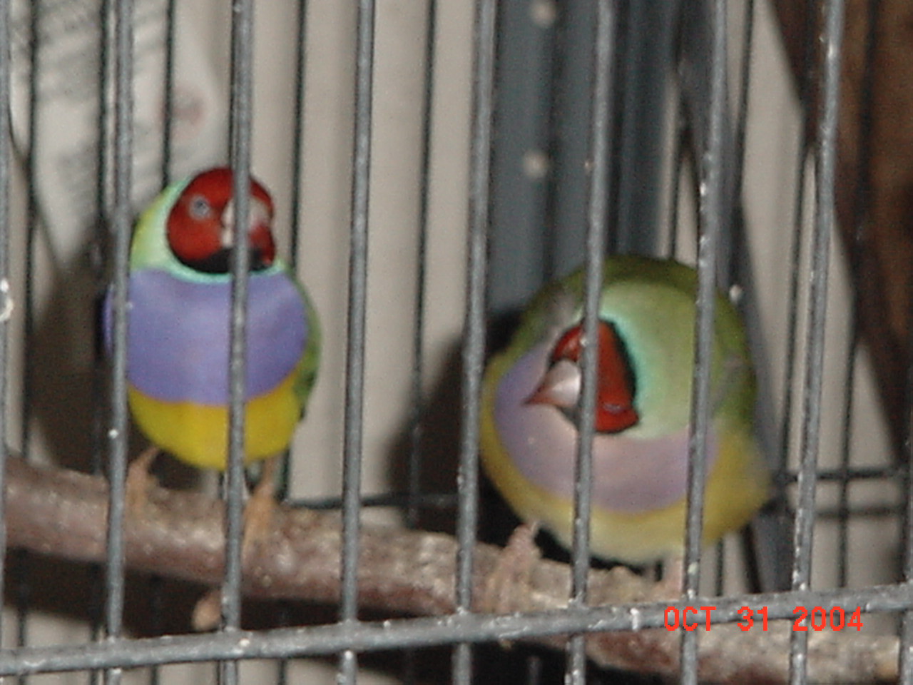 按此在新視窗瀏覽圖片