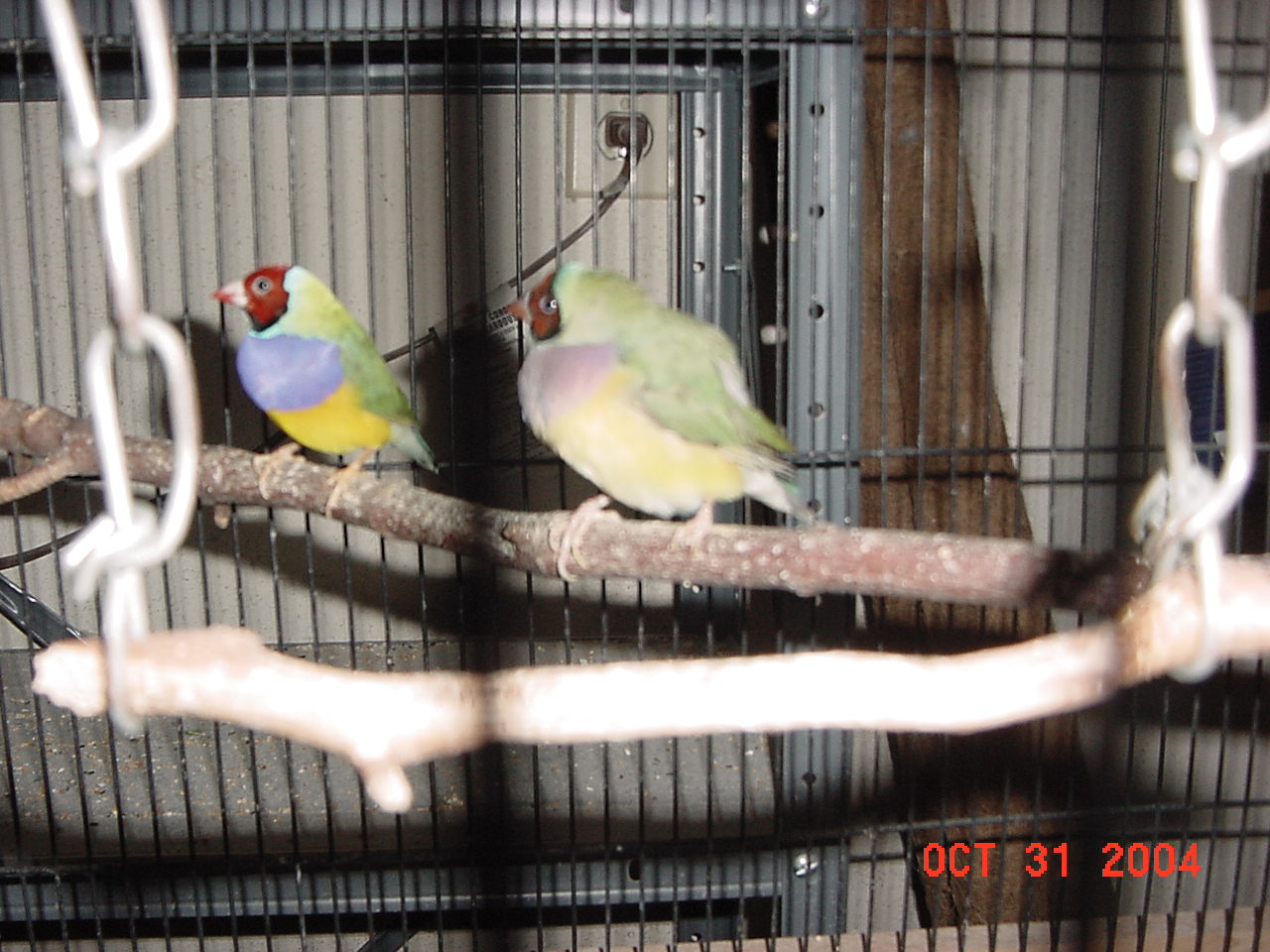 按此在新視窗瀏覽圖片