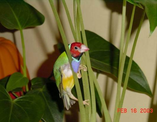 按此在新視窗瀏覽圖片