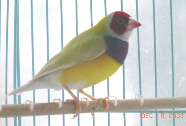 按此在新視窗瀏覽圖片