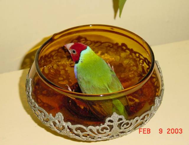 按此在新視窗瀏覽圖片