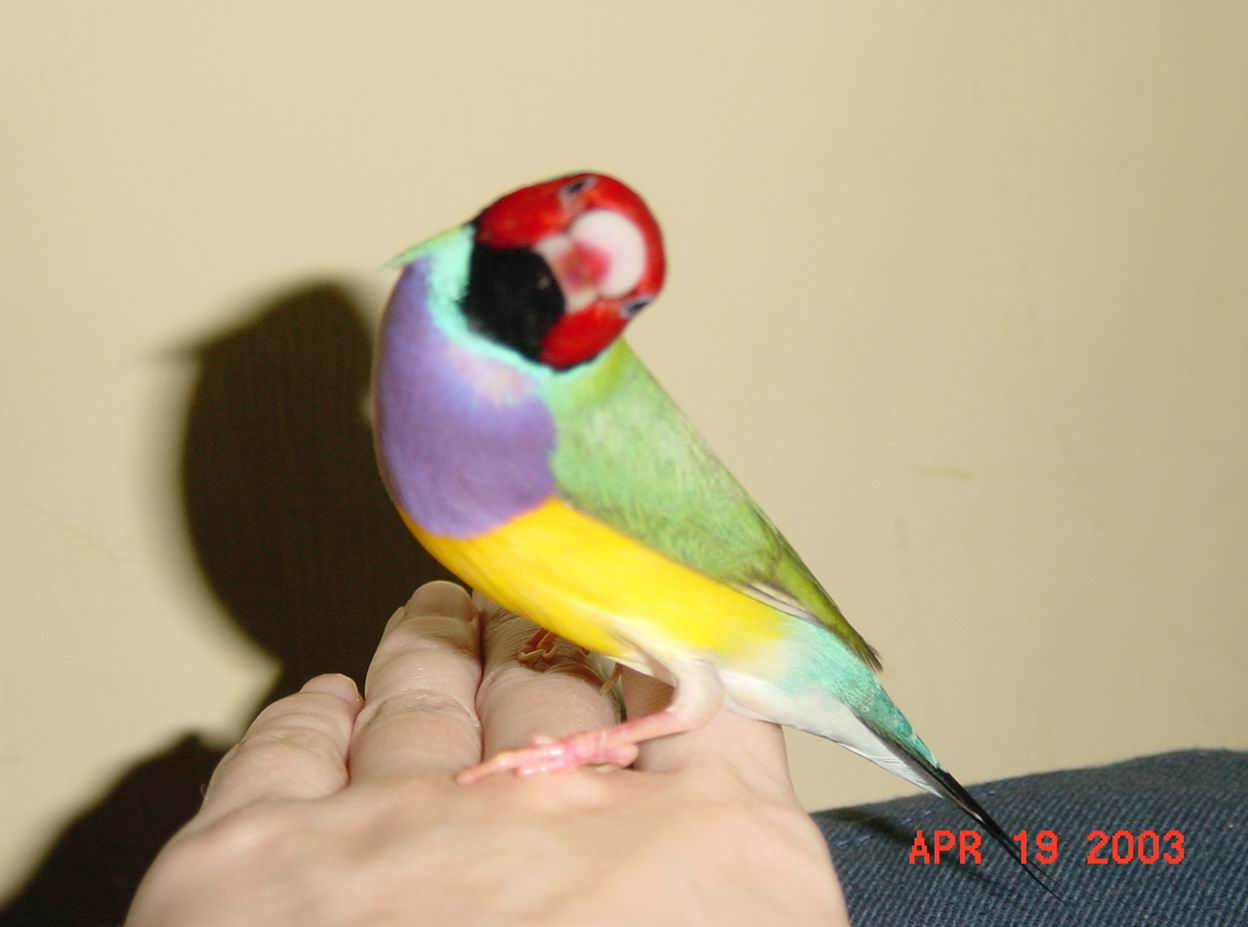 按此在新視窗瀏覽圖片