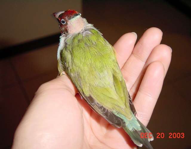 按此在新視窗瀏覽圖片