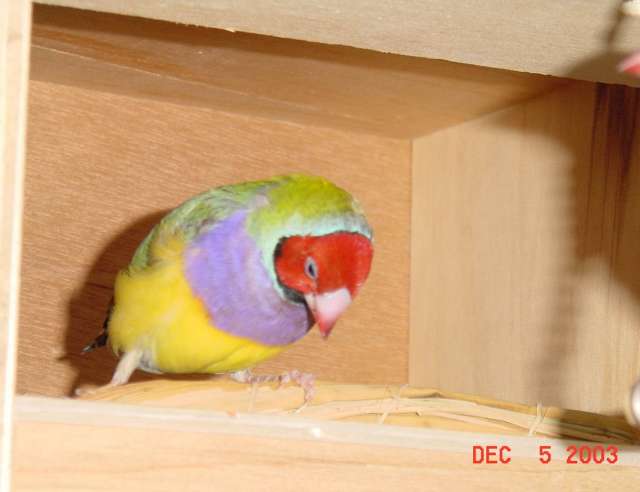 按此在新視窗瀏覽圖片