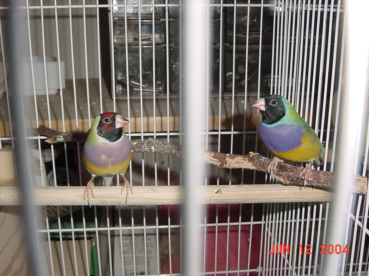 按此在新視窗瀏覽圖片