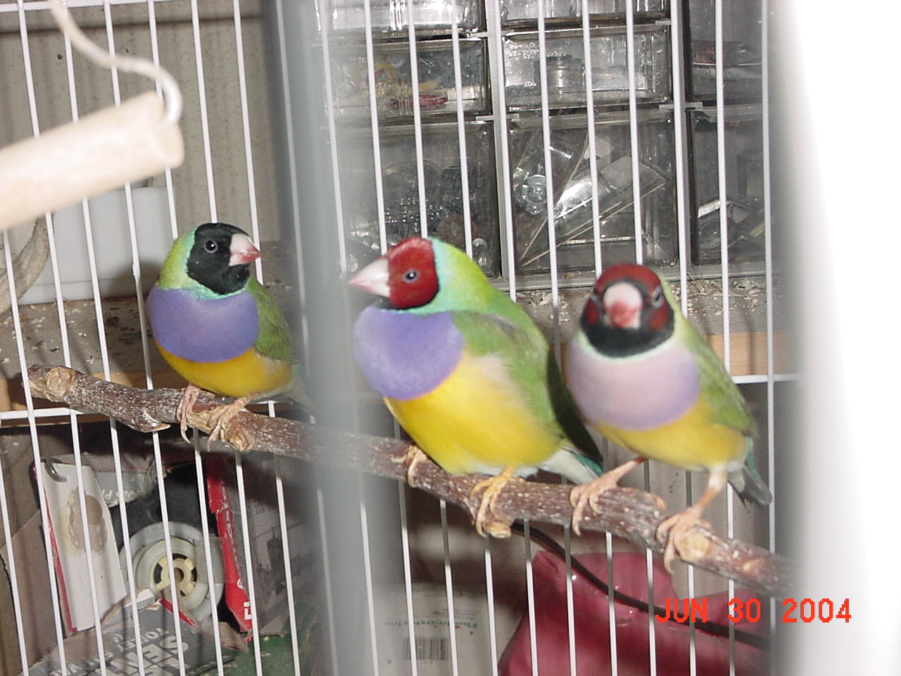 按此在新視窗瀏覽圖片