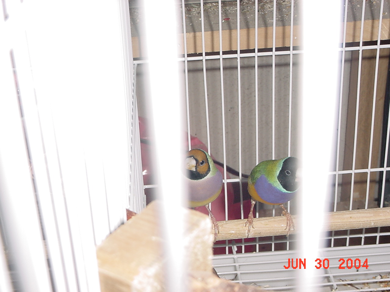 按此在新視窗瀏覽圖片