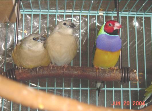 按此在新視窗瀏覽圖片