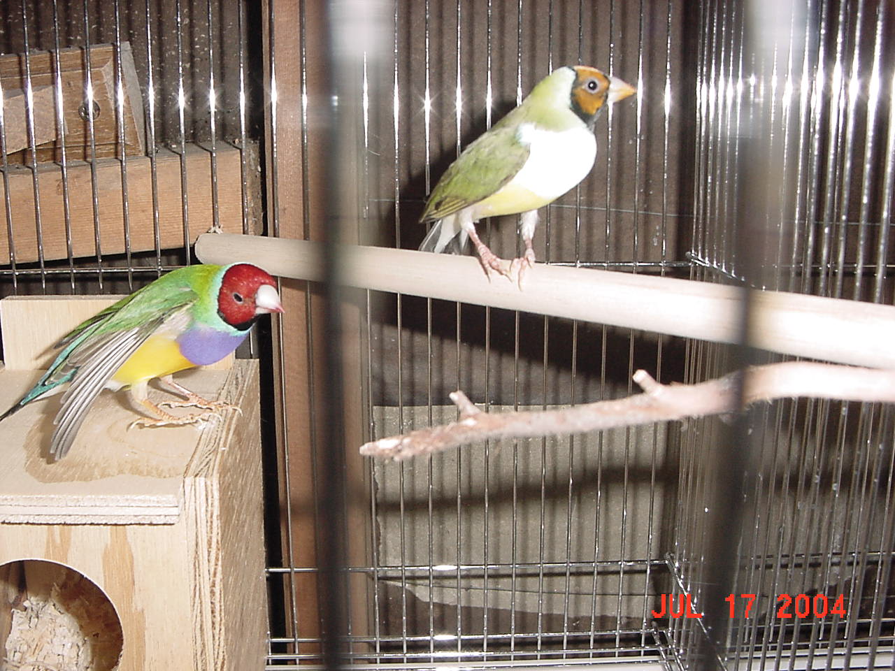 按此在新視窗瀏覽圖片