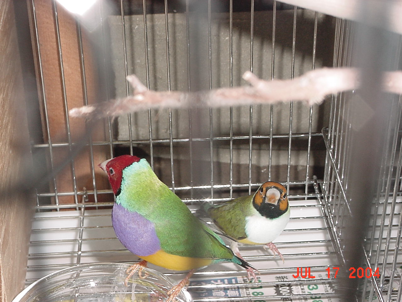 按此在新視窗瀏覽圖片