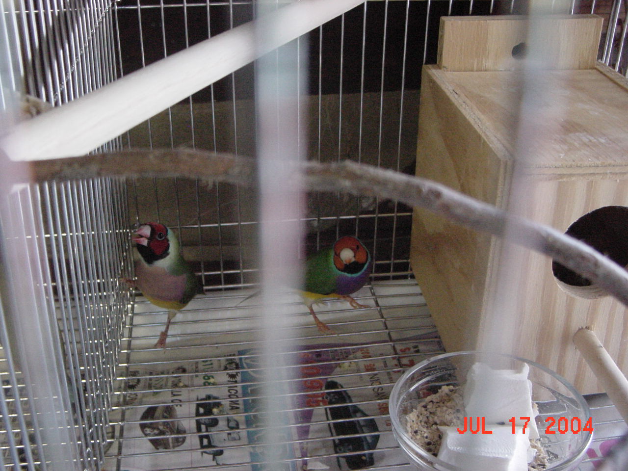 按此在新視窗瀏覽圖片