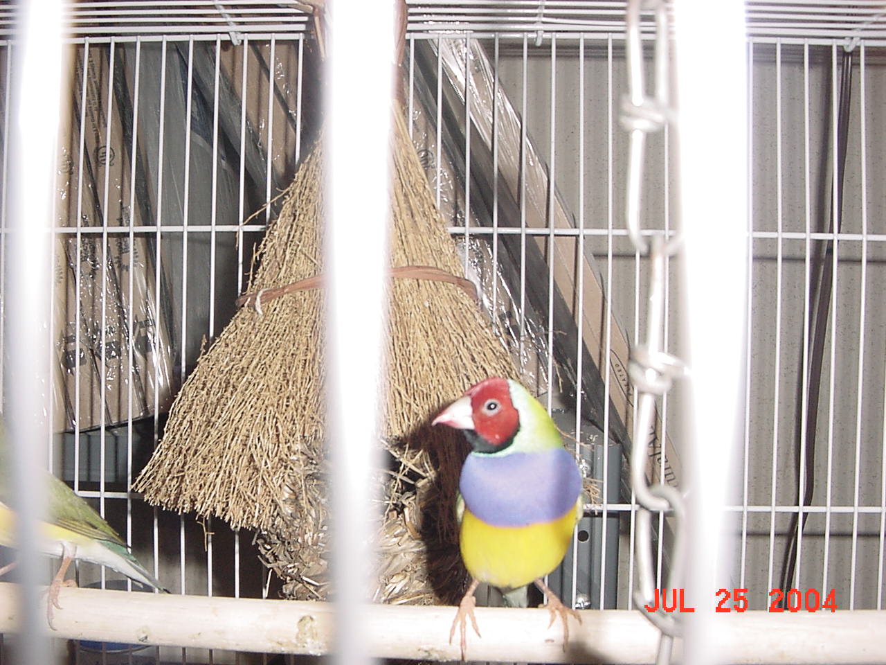 按此在新視窗瀏覽圖片