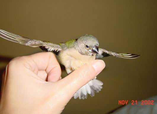 按此在新視窗瀏覽圖片