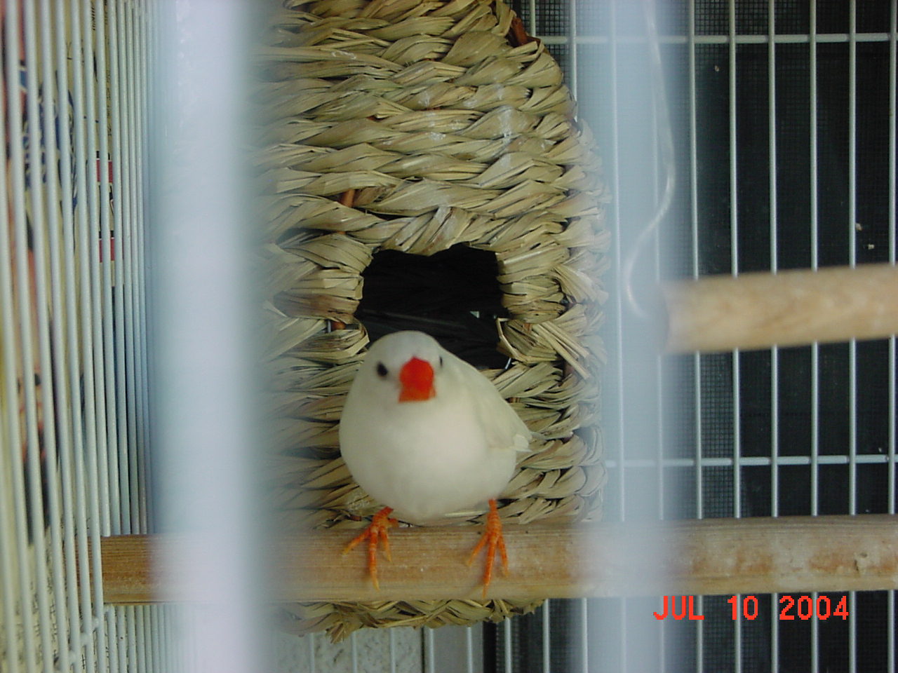 按此在新視窗瀏覽圖片