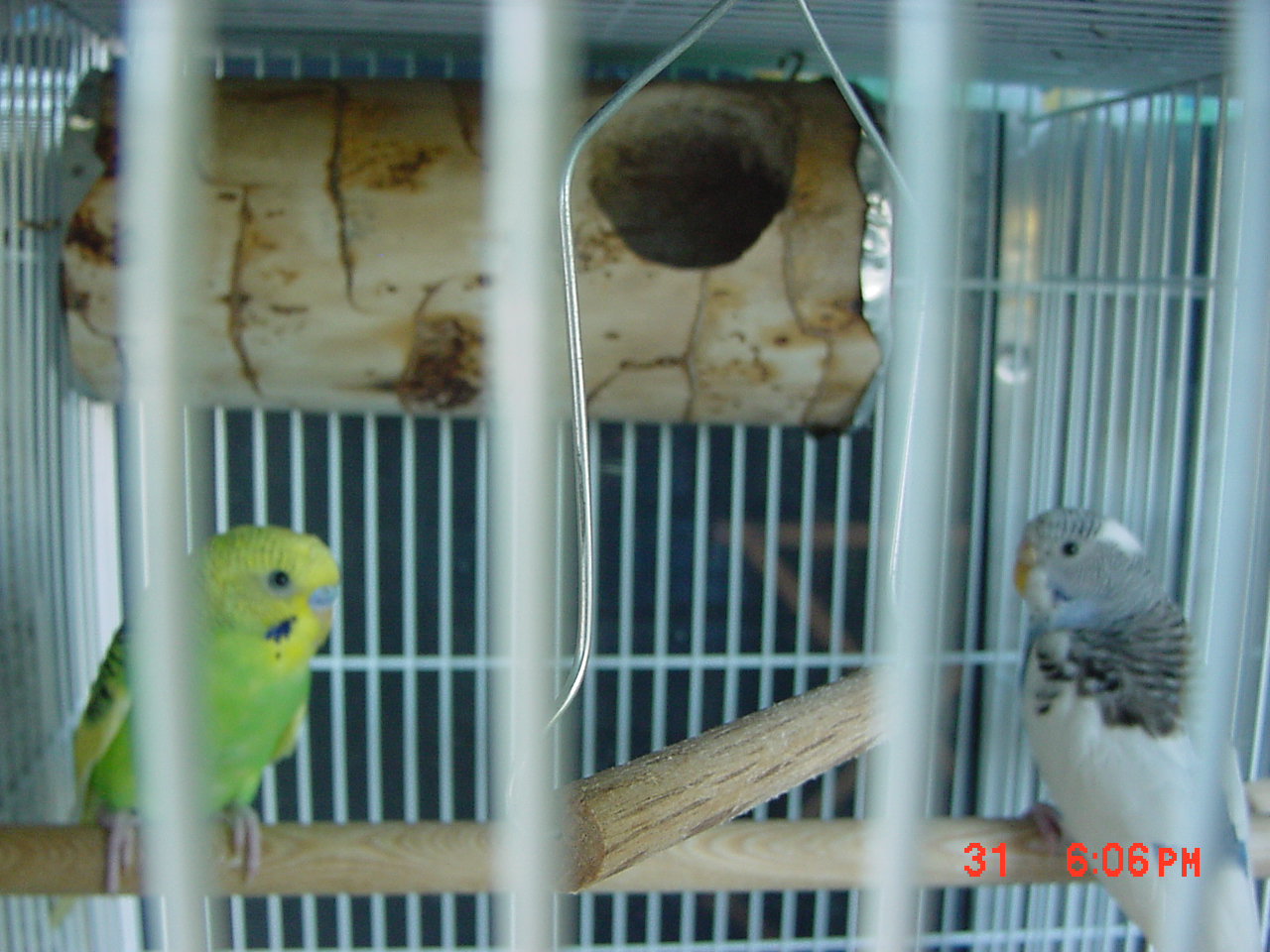 按此在新視窗瀏覽圖片