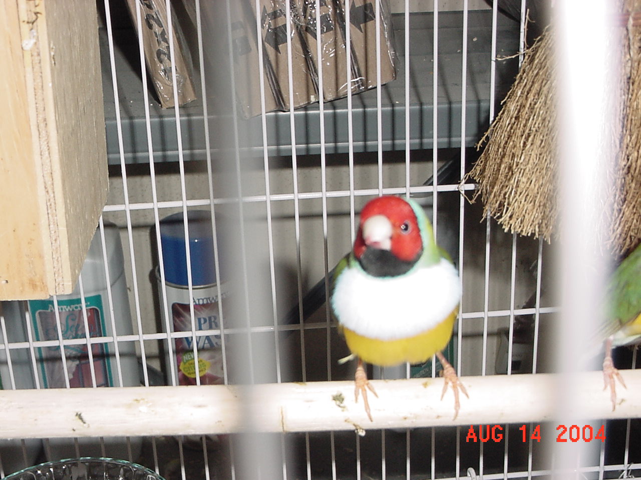 按此在新視窗瀏覽圖片