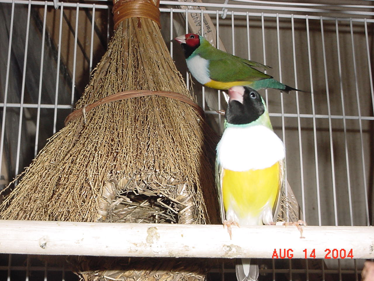 按此在新視窗瀏覽圖片