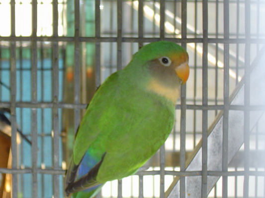 按此在新視窗瀏覽圖片