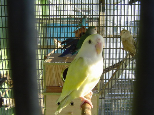 按此在新視窗瀏覽圖片