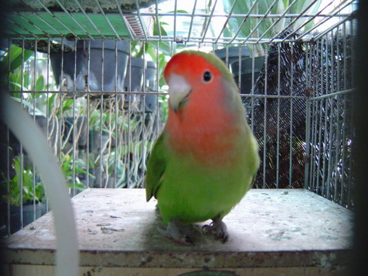 按此在新視窗瀏覽圖片