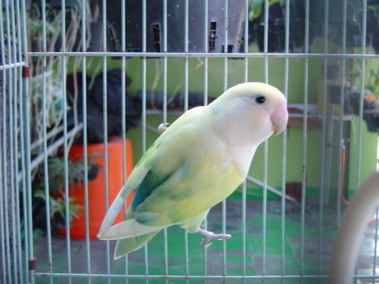 按此在新視窗瀏覽圖片