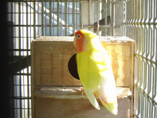 按此在新視窗瀏覽圖片