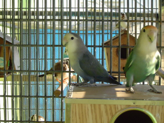 按此在新視窗瀏覽圖片