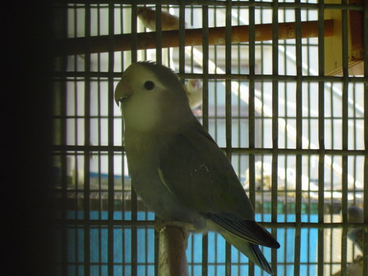 按此在新視窗瀏覽圖片