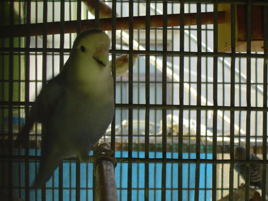 按此在新視窗瀏覽圖片