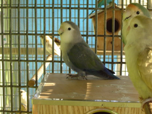 按此在新視窗瀏覽圖片