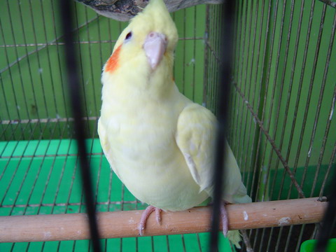 按此在新視窗瀏覽圖片