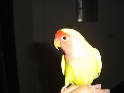 按此在新視窗瀏覽圖片