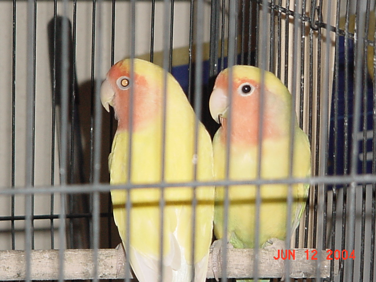 按此在新視窗瀏覽圖片