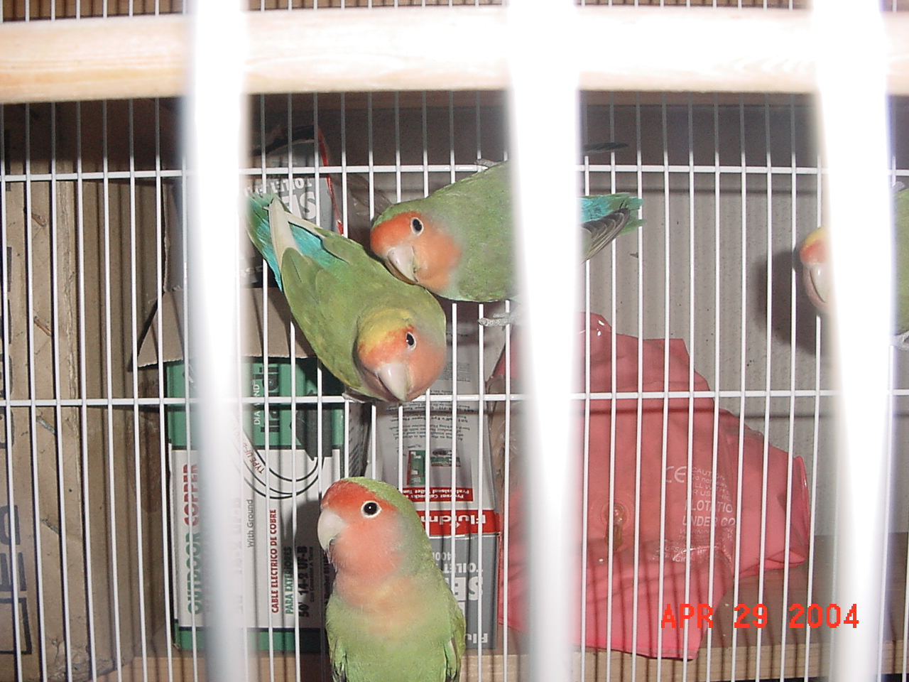 按此在新視窗瀏覽圖片