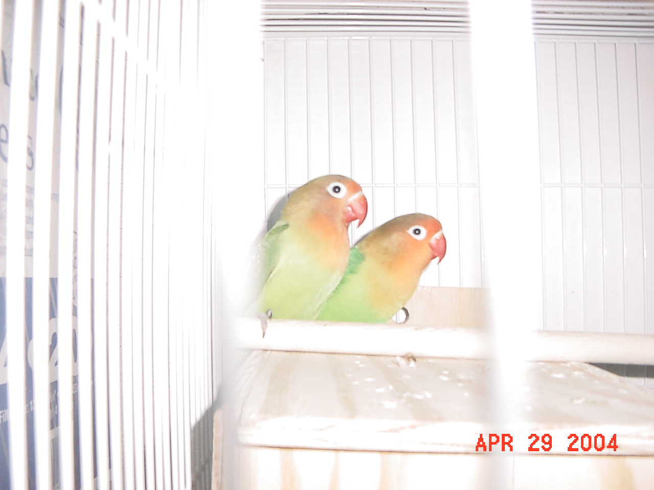 按此在新視窗瀏覽圖片