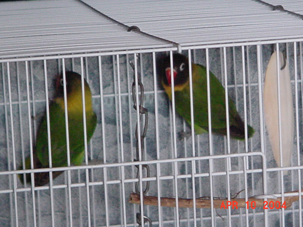 按此在新視窗瀏覽圖片