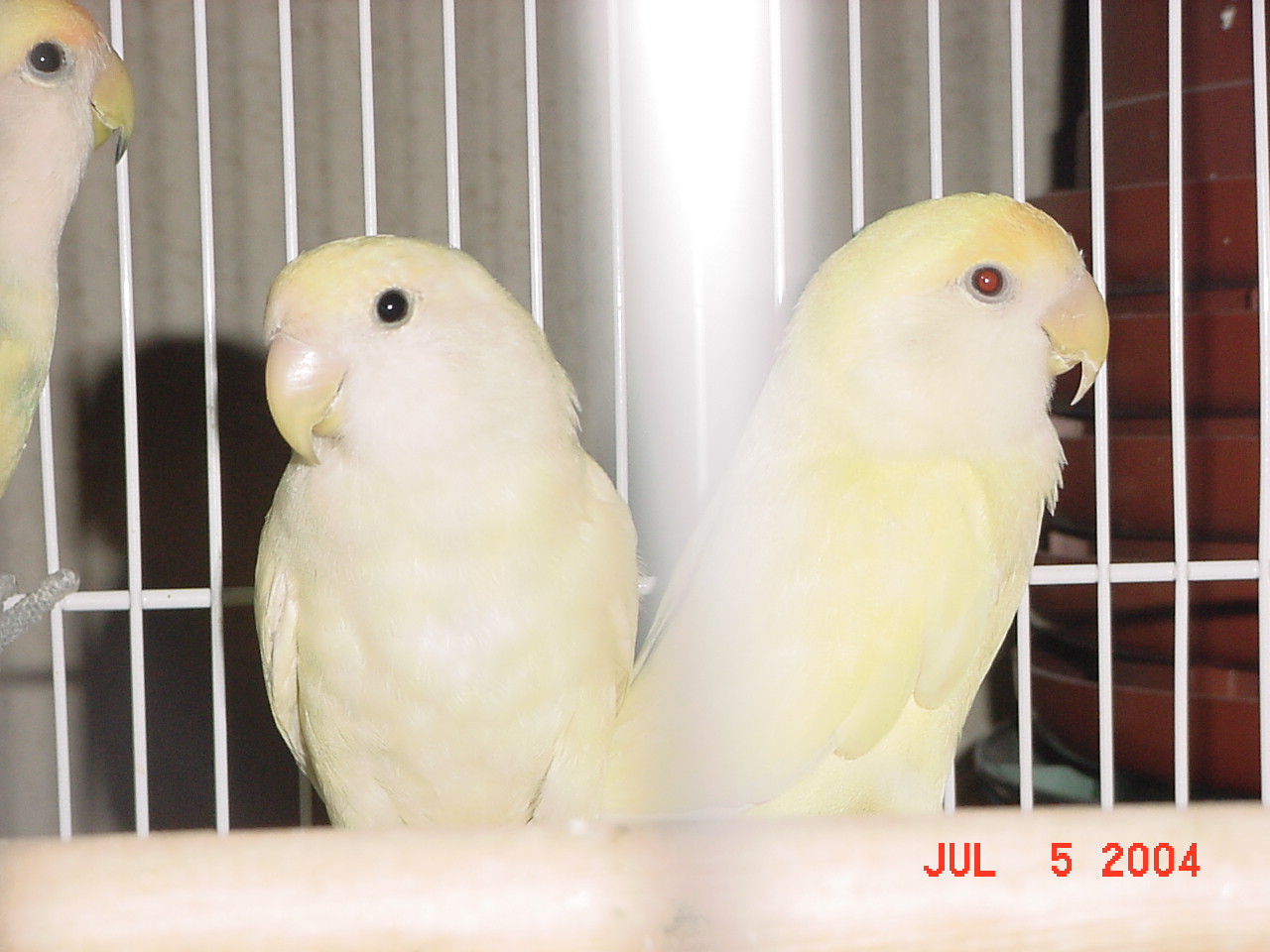 按此在新視窗瀏覽圖片