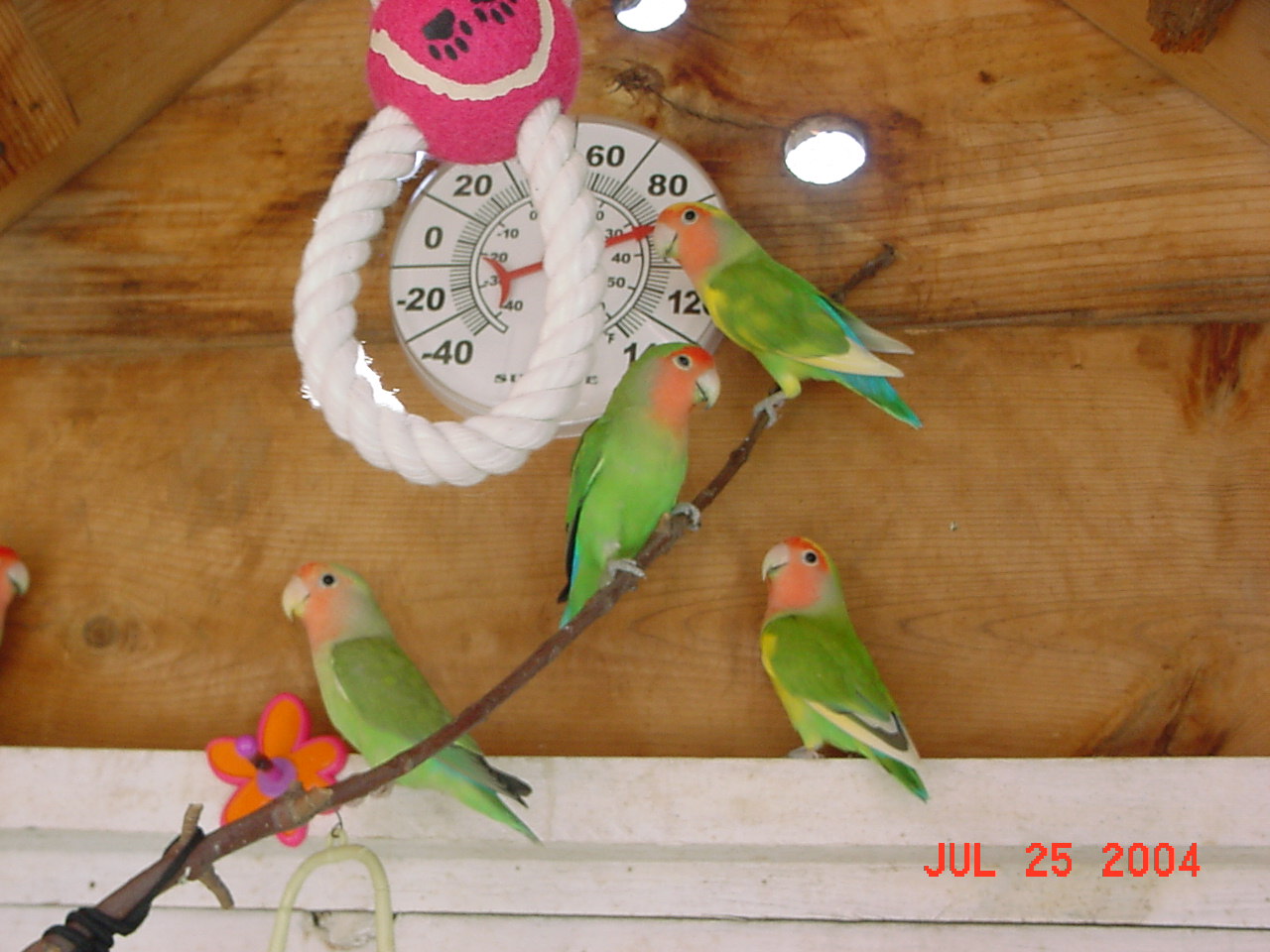 按此在新視窗瀏覽圖片