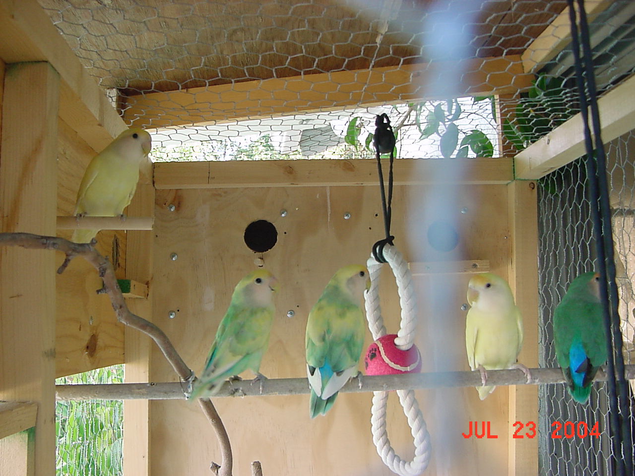 按此在新視窗瀏覽圖片