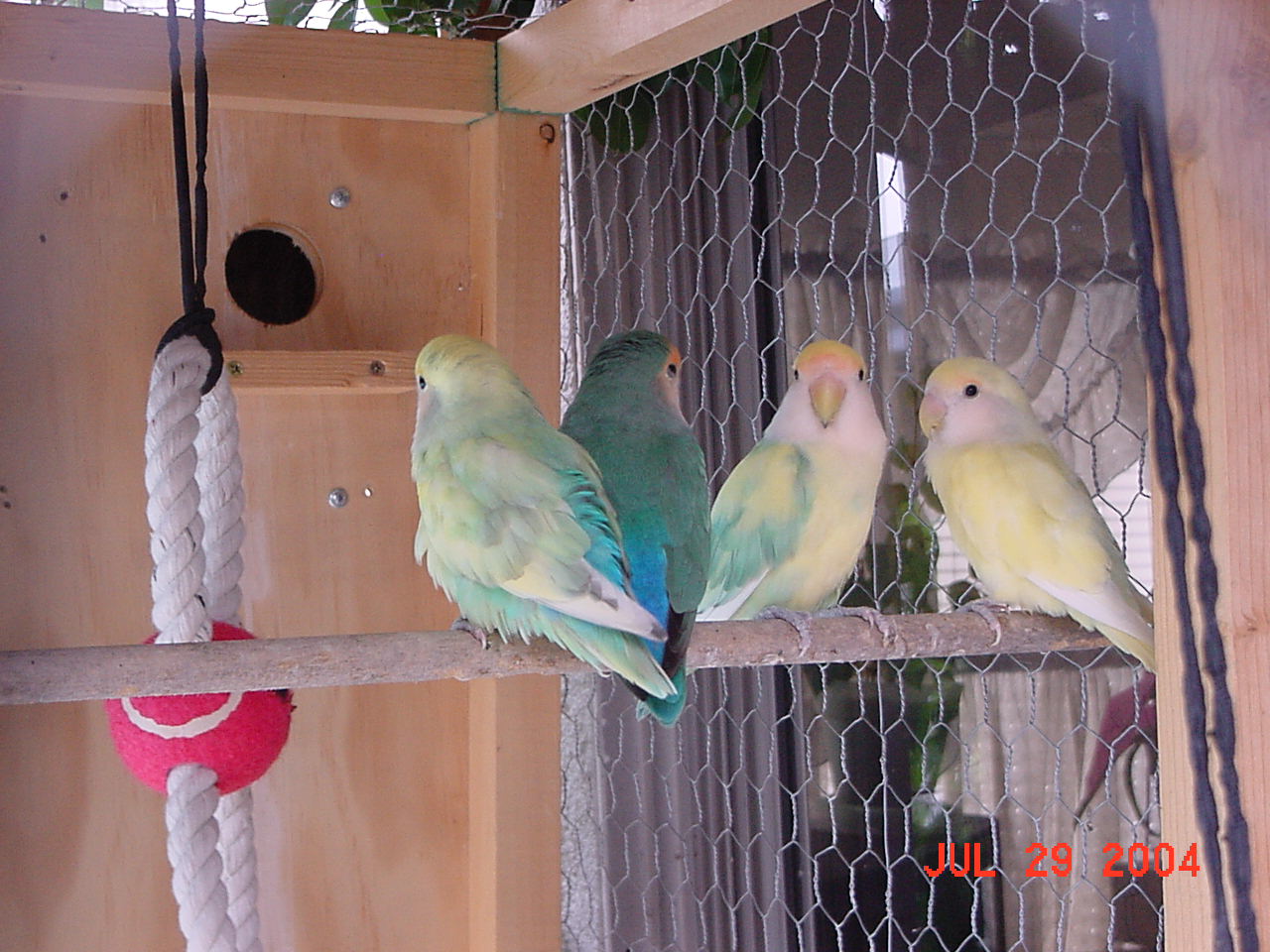 按此在新視窗瀏覽圖片