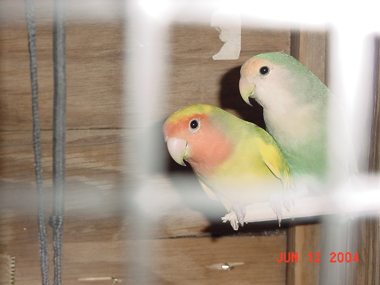 按此在新視窗瀏覽圖片