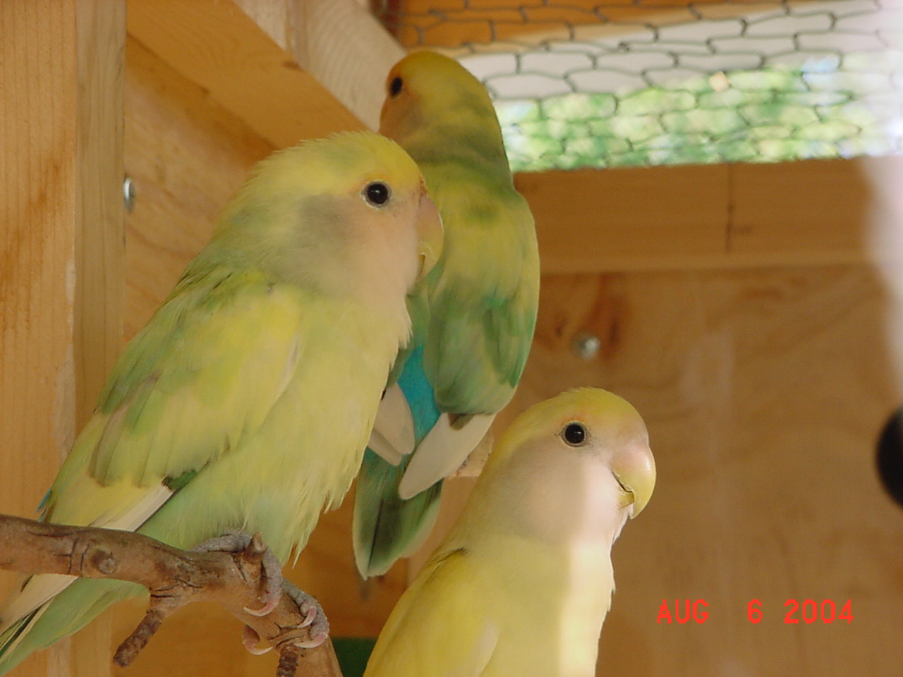 按此在新視窗瀏覽圖片