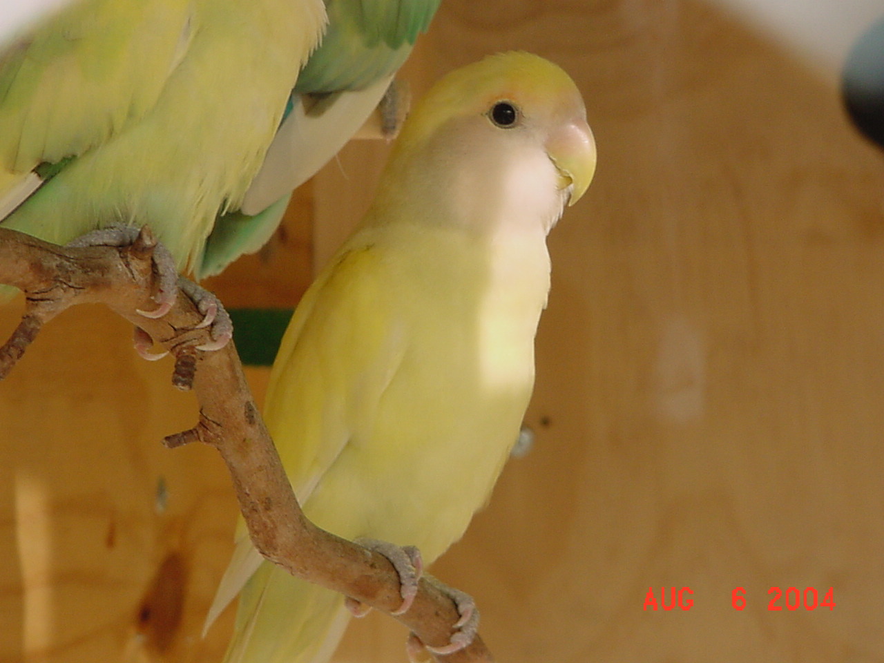 按此在新視窗瀏覽圖片