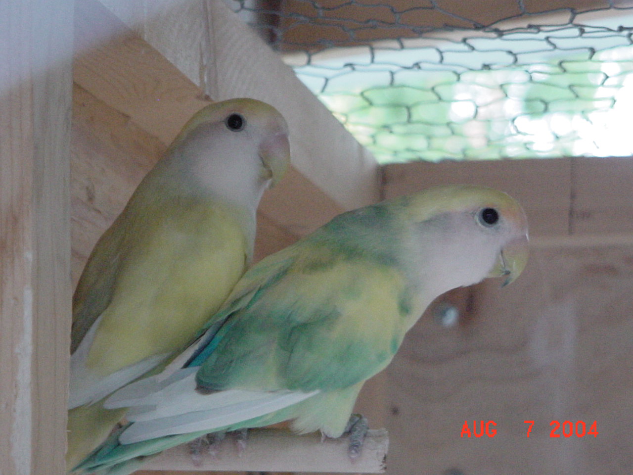 按此在新視窗瀏覽圖片