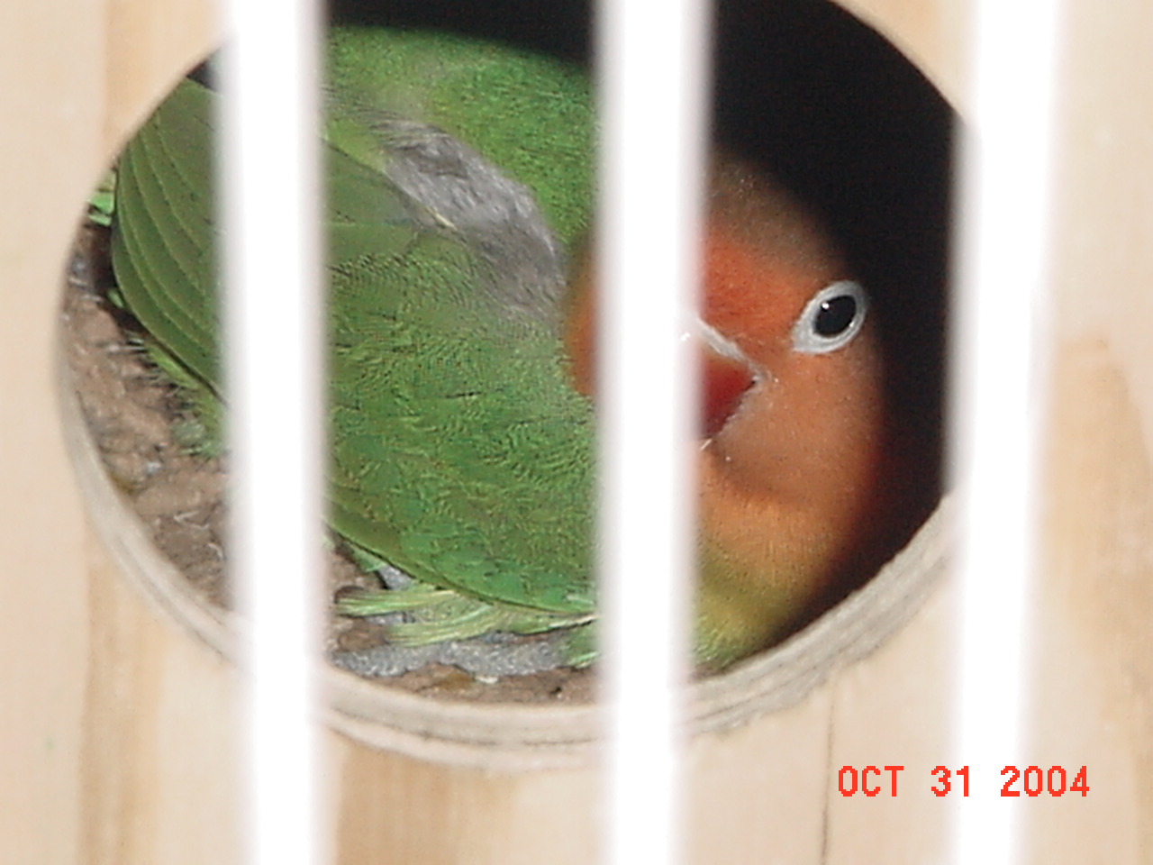 按此在新視窗瀏覽圖片