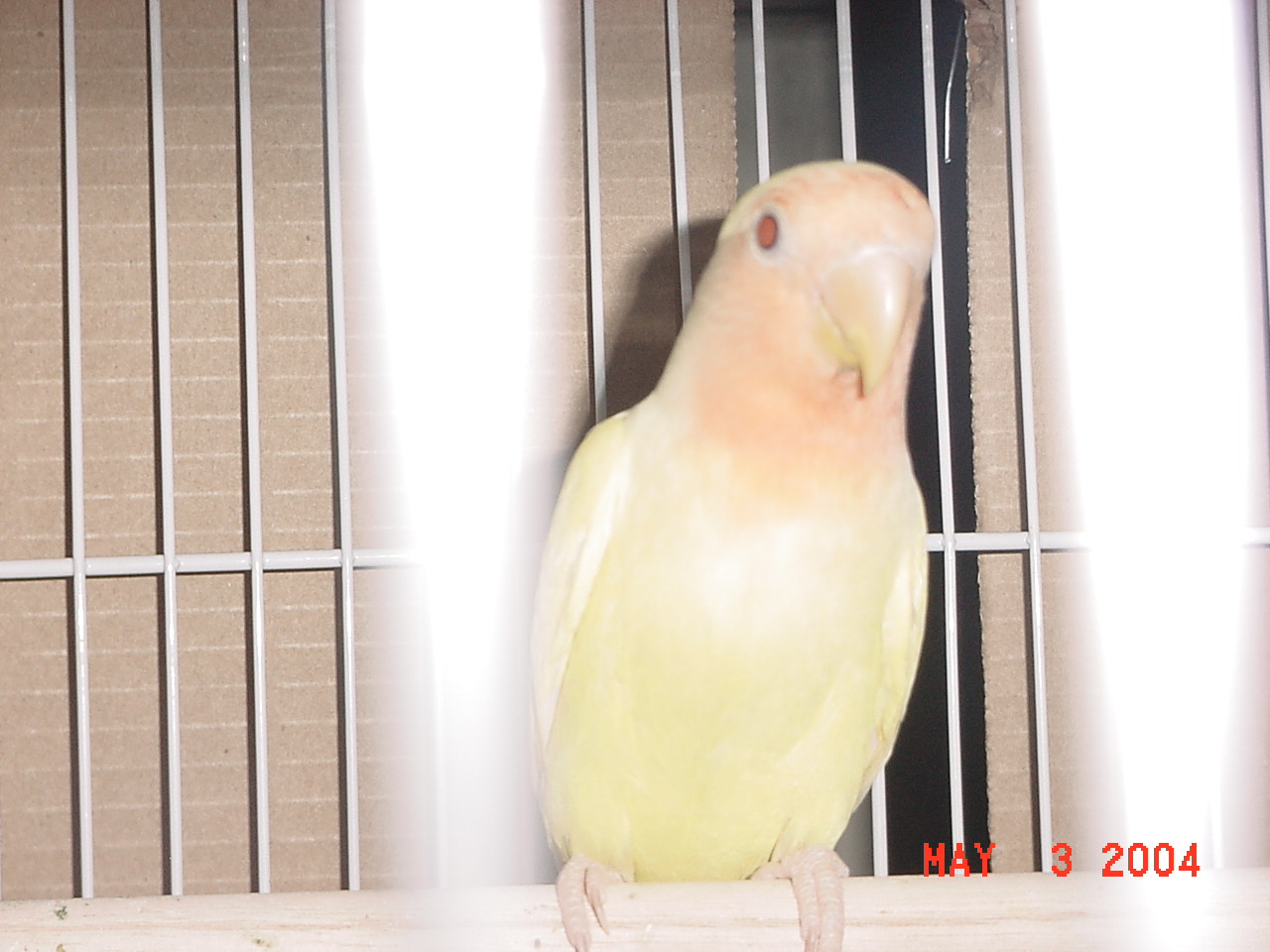 按此在新視窗瀏覽圖片