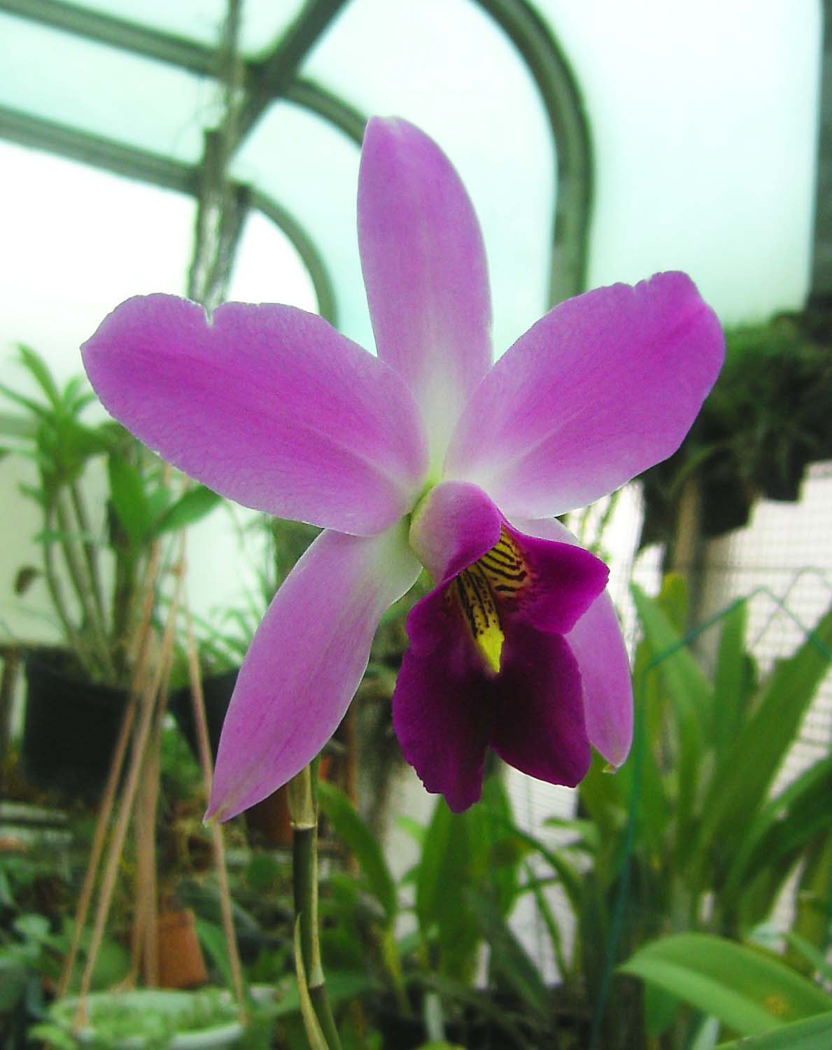 按此在新視窗瀏覽圖片